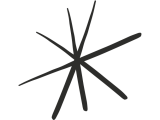 Symbols Symbols