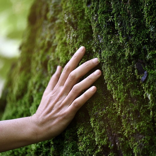 nature