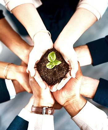 ECOSYS: The sustainable solution hands holding a plant in soil